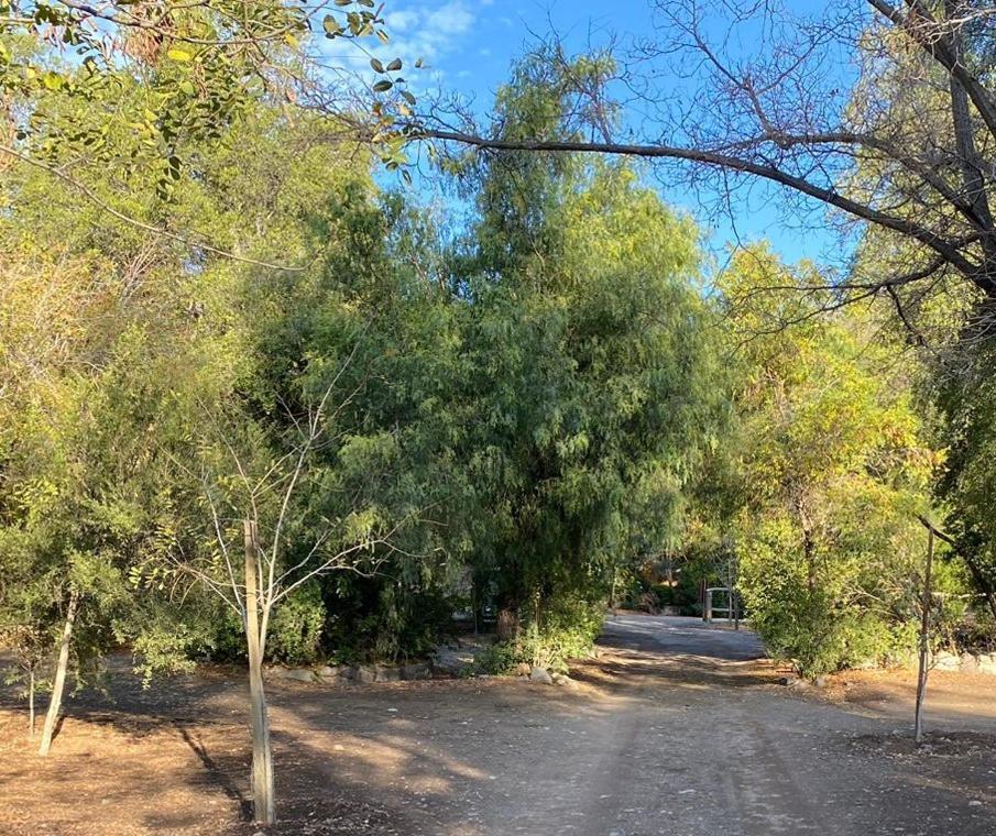 Cabanas Parque Almendro San José de Maipo エクステリア 写真