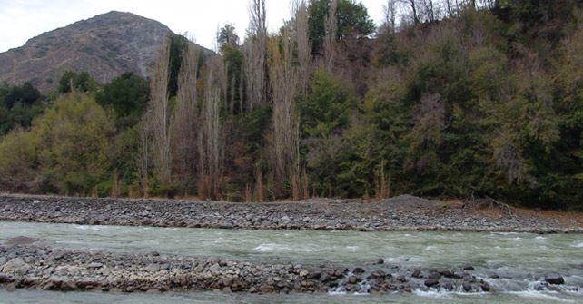 Cabanas Parque Almendro San José de Maipo エクステリア 写真